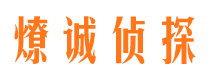 田家庵侦探